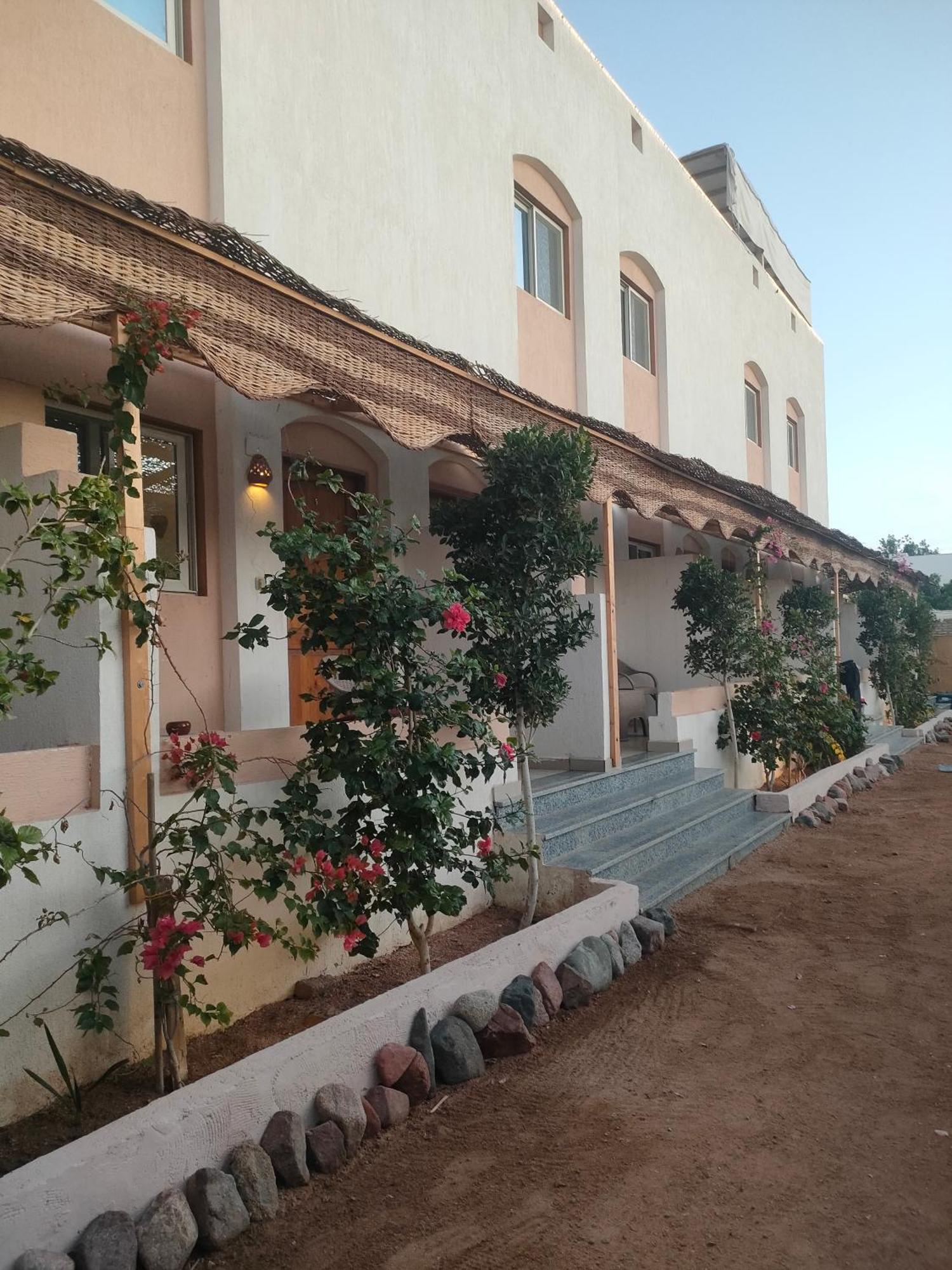 Al Deira Dahab Hotel Bagian luar foto
